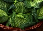 Узнайте, чем обдать капусту весной, чтобы летом не было гусеницы