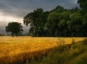 Резкая смена погоды: спасатели предупреждают о сильных ливнях и опасности пожаров