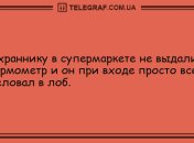 Сделай паузу и подними себе настроение: подборка смешных анекдотов