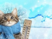 Погода в Украине в начале января