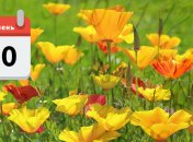 День Марини Лазарєвої 30 липня: народні прикмети і що не можна робити в це свято