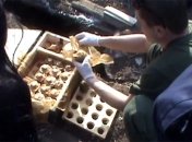 На окраине Хмельницкого нашли тайник с боеприпасами