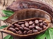 Шоколад может помочь при болезни Паркинсона