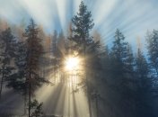 Какую погоду ожидать в Украине в ближайшие дни?