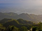 Власти Филиппин хотят обязать школьников высаживать деревья