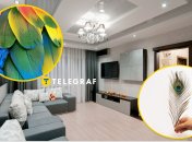 Почему дома нельзя хранить перья птиц