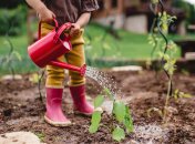 Посівний календар на квітень 2022: чому після Великодня не можна працювати на городі