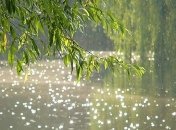 В ближайшие дни Украину зальют дожди