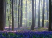 Ученые знают, как остановить изменение климата