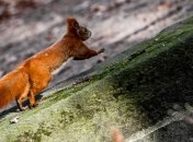 Погода 15 октября: "бабье лето" не спешит покидать Украину