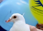 Сотрудники почтовой связи отмечают профессиональный праздник