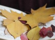 В осенний вечер: самые популярные книги сезона осень 2019