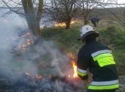 В Хмельницкой области горело более 9 га хвойного леса