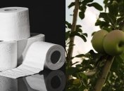 Простой способ укоренить дерево