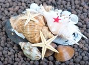Все буде добре. Морской гороскоп на 13-19 апреля от Хаяла Алекперова