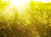 Прогноз погоды на 8 августа: на выходных ожидается сильная жара