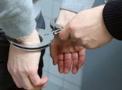 ОБСЕ требует свободы журналисту Meduza