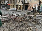 Поваленные деревья и оборванные электролинии: Одессу накрыл шторм (Фото)
