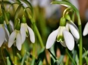 Весеннее равноденствие в високосный год: астрологический прогноз