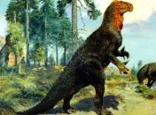 В Канаде палеонтологи обнаружили тропу динозавров