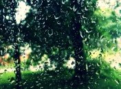 Прогноз погоды в Украине на 20 августа: дожди пройдут на западе