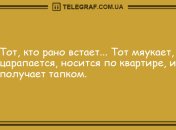 Ураган юмора и ты уже не угрюмая: утренние анекдоты
