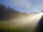 Яркий свет перед сном влияет на настроение утром