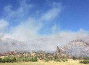 Пожары в Калифорнии уничтожили около 60 зданий