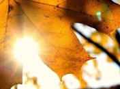 Погода в Украине 27 октября: солнечно, без осадков