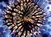 Ученые нашли подтверждение способности микробов выживать в космосе