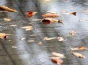 Прогноз погоды на 9 декабря: мокрый снег лишь в одном регионе