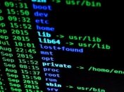 Хакер из РФ обрушил финансовую сеть США