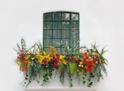 Украсить свой балкон этой зимой можно этими цветами