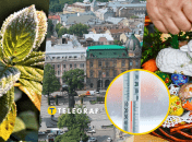 Заморозки в городе будут ближе к празднику