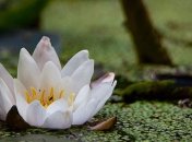 23 июля - праздник, что категорически запрещено делать, главные приметы