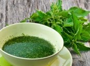 Уникальные свойства весенней крапивы