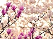 В Украину идет существенное похолодание: погода на неделю 