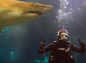 Экологи египетской Хургады лично отпугивают акул от пляжей курорта