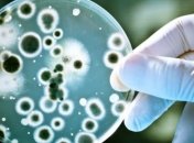 Ученые выявили процессы развития смертельно опасных бактерий