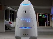 В США робот-полицейский утопился в фонтане