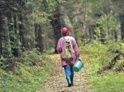 Женщина решила запастись лесными ягодами