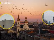 Ворони над собором у Вінниці