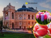 Где дешевле в Одессе купить цветы до 8 марта