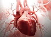 Приступ тахикардии: два быстрых способа успокоить сердце без лекарств