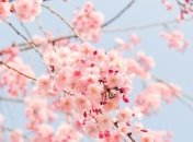 Народний календар і астровісник на 14 травня