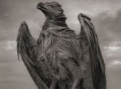 Смертоносное озеро делает животных мумиями (Видео)