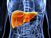 Названы лучшие способы "очистки" печени в домашних условиях