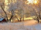 Жителей Украины в ближайшие дни будет радовать теплая зимняя погода