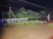 Нічний шквал повалив дерева та знеструмив села на Рівненщині