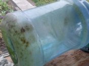 Зеленый налет часто появляется на стенках бутылей